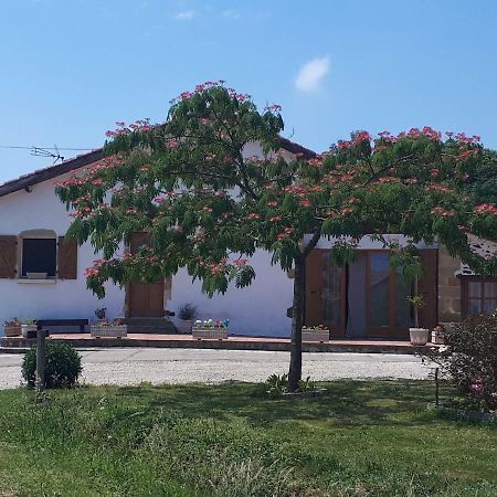 Gite Pouton Saint-Loubouer Exterior foto